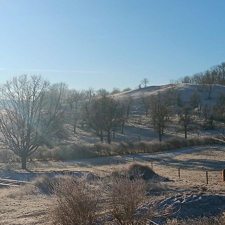 Pension Freudenthal Wandersleben 외부 사진